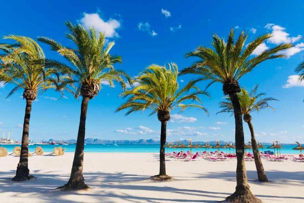 Verano Eterno En Mallorca - Alcudia! Lejlighed Alcudia (Mallorca)